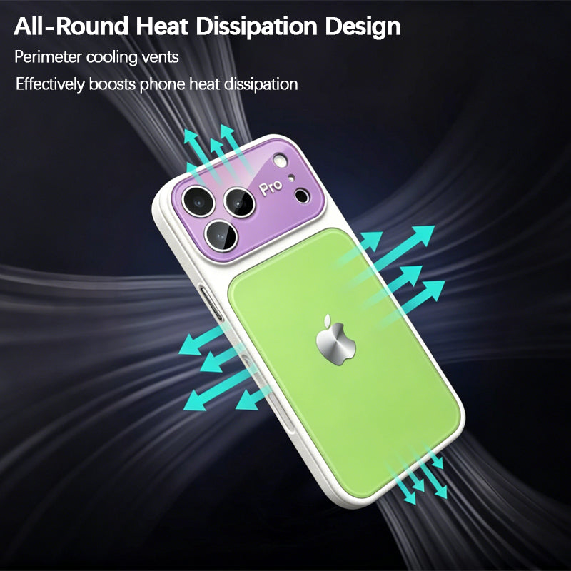 iPhone Dopamine Color-Blocked Leather Case